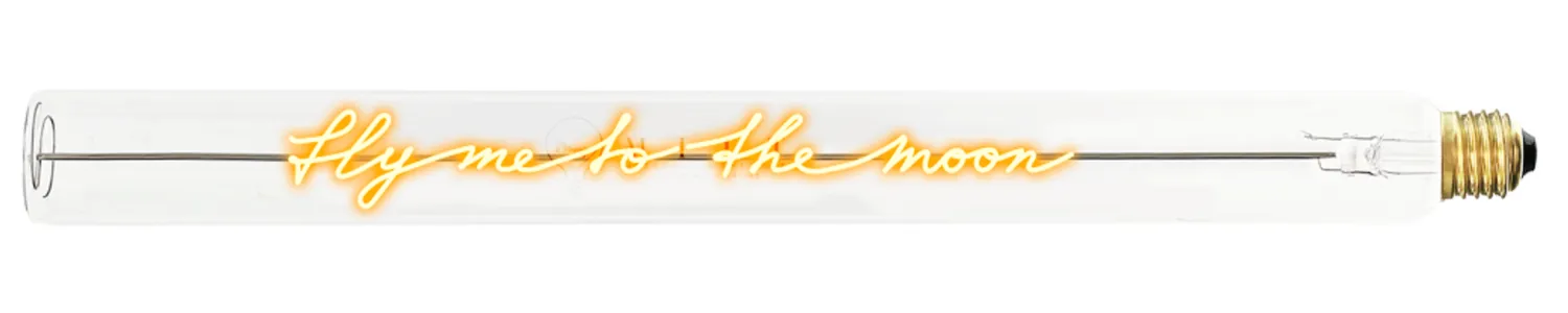 Ampoule Message in the Tube  Fly me to the moon