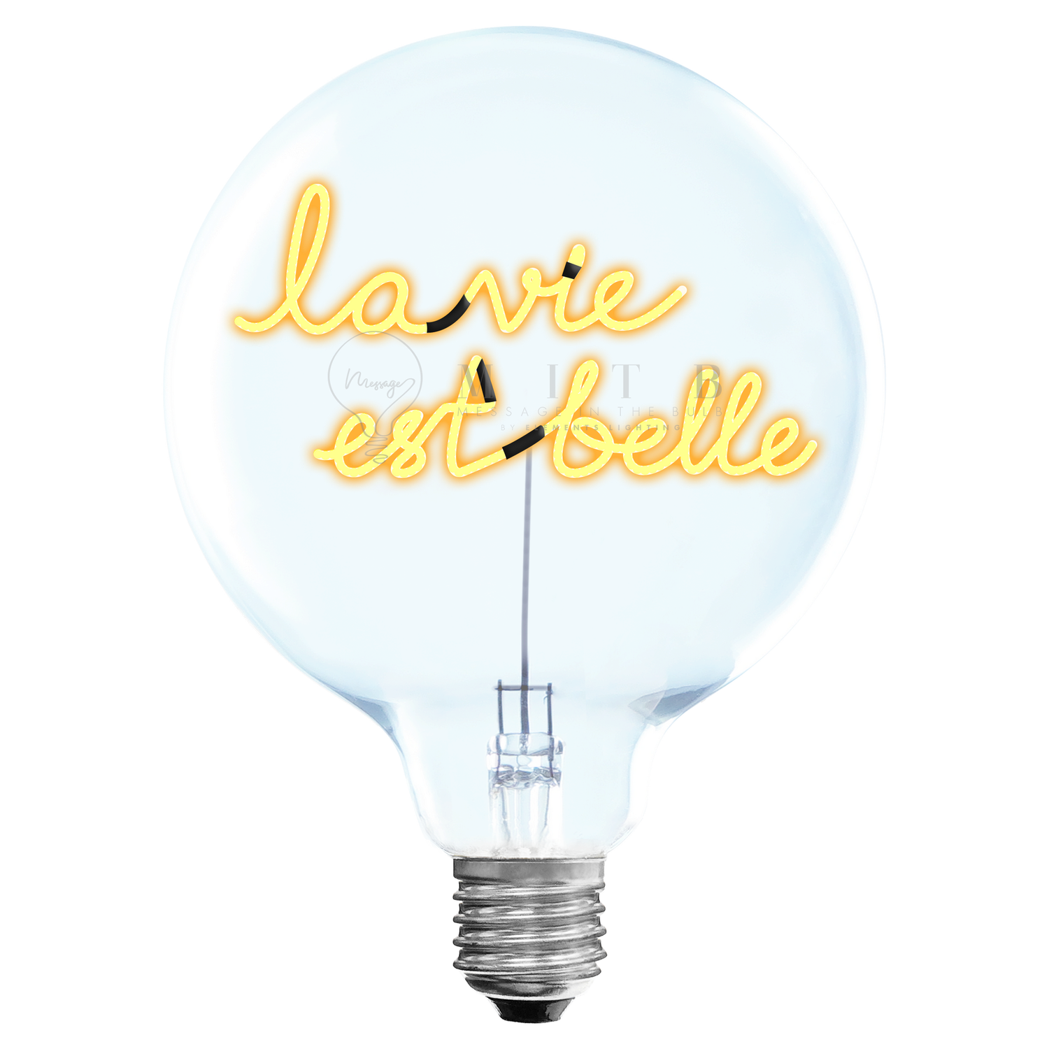 Ampoule Portable La Vie est une fête