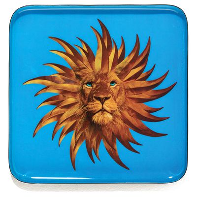 Vide Poche Solarking