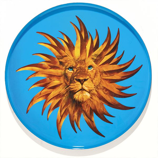 Plateau Rond Solarking