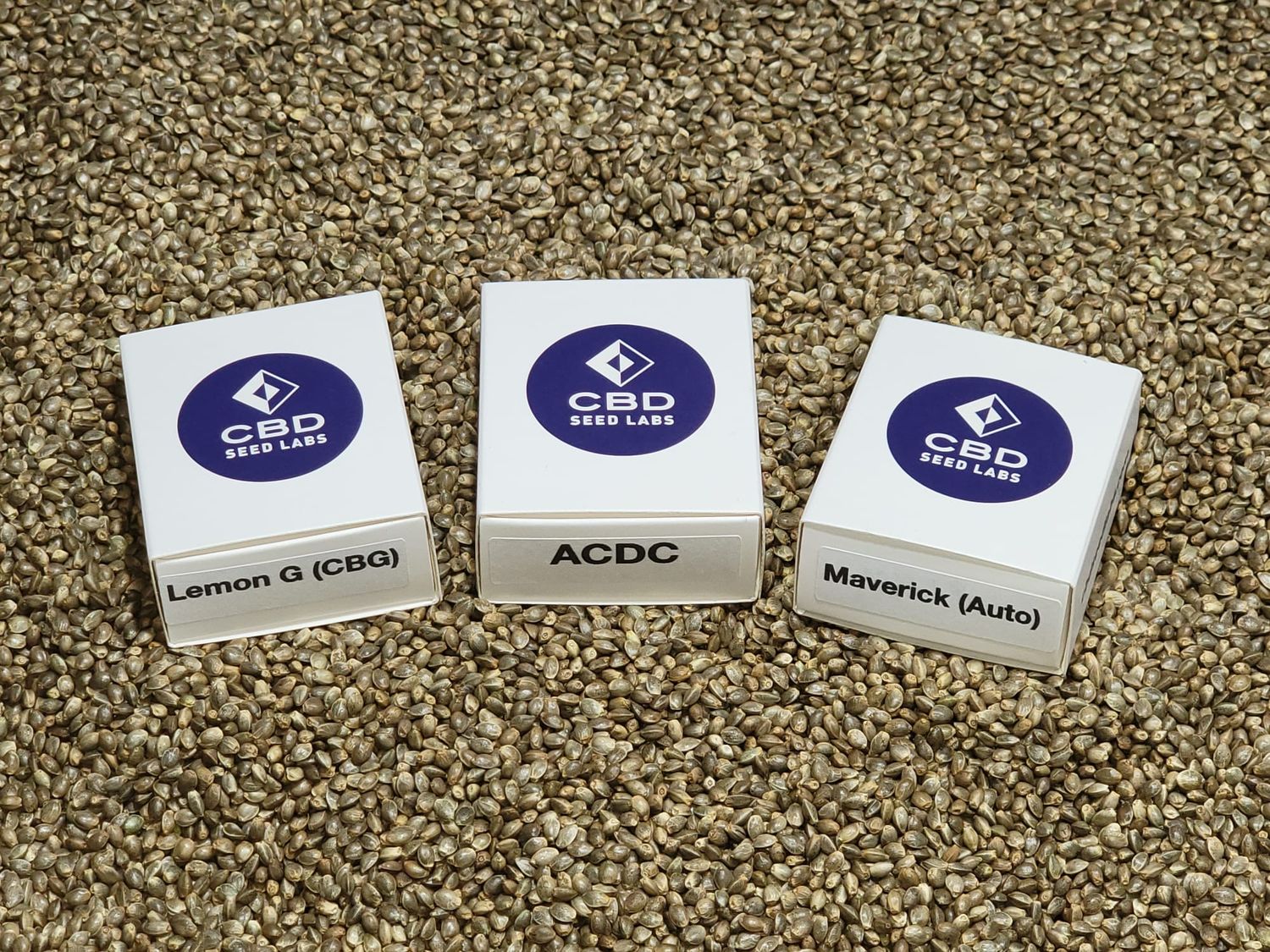 Feminized CBD Hemp Seeds Sampler Packs
