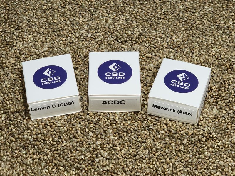 Feminized CBD Hemp Seeds Sampler Packs Feminized CBD Hemp Seeds Sampler Packs