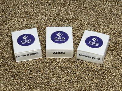 Feminized CBD Hemp Seeds Sampler Packs