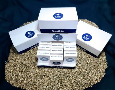 CBD Seed Labs Wholesale Boxes