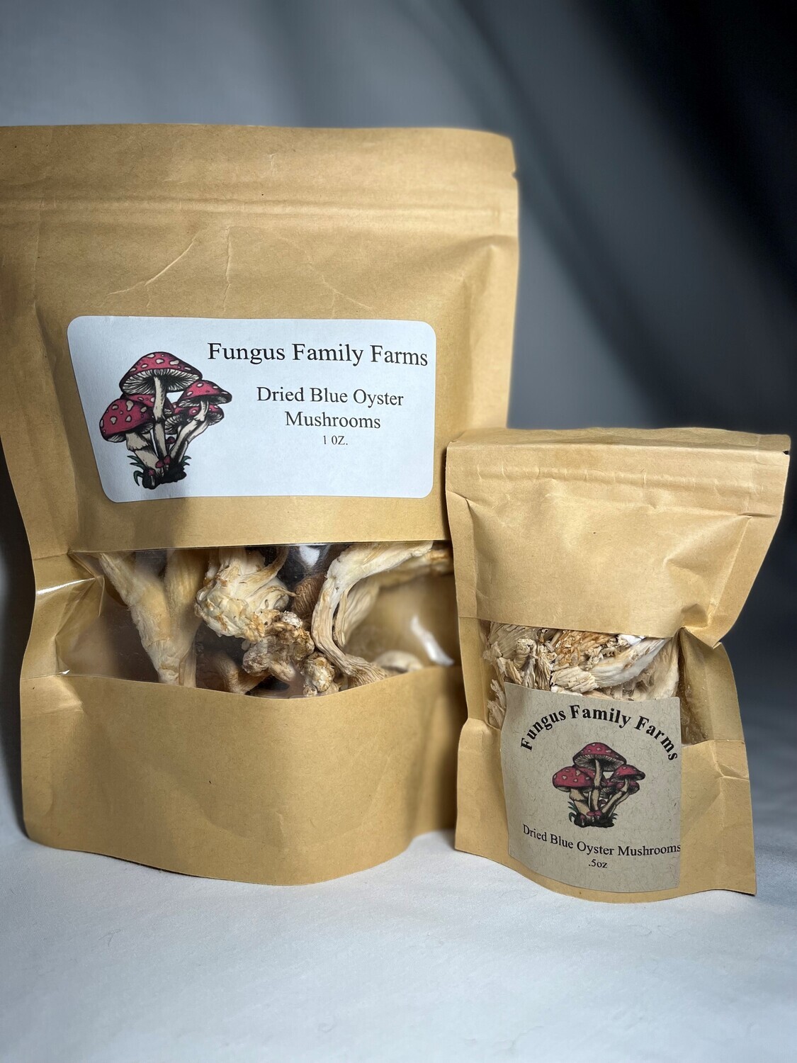 Dried Blue Oyster, 1oz