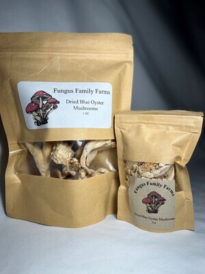 Dried Blue Oyster, 1oz