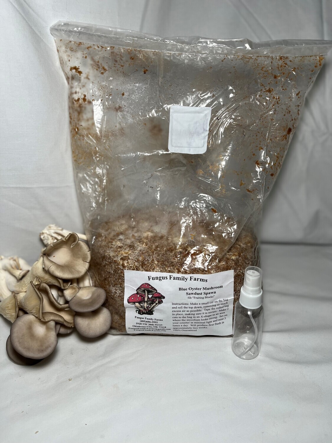 Grow  Kits Blue Oyster Mushroom