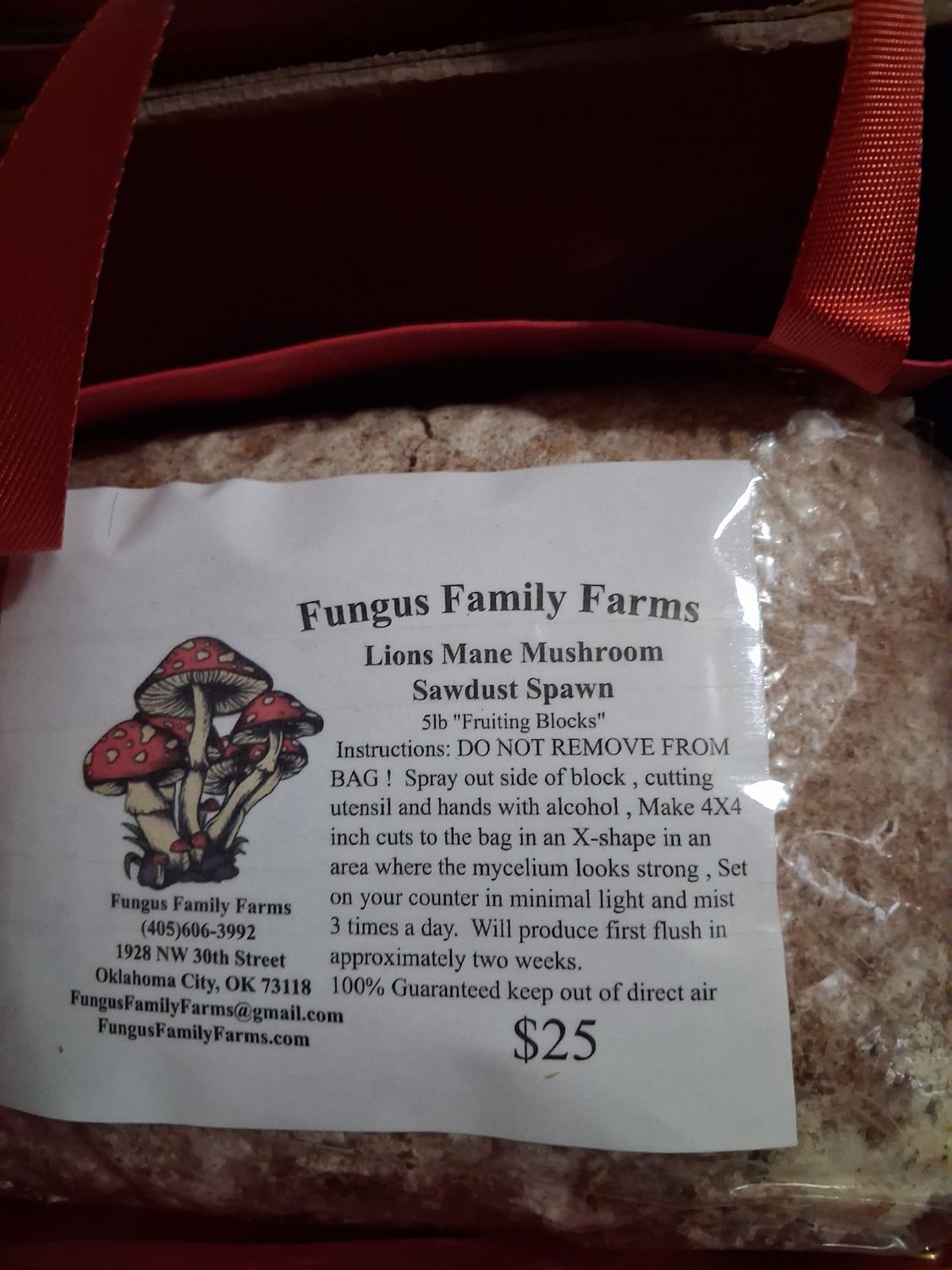 Grow Kits Lions Mane Mushroom 5 lb blocks