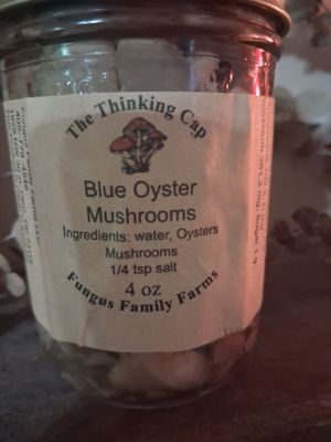 Canned  oyster mushrooms