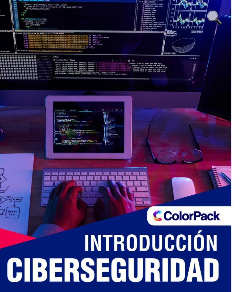 INTRODUCCIÓN CIBERSEGURIDAD