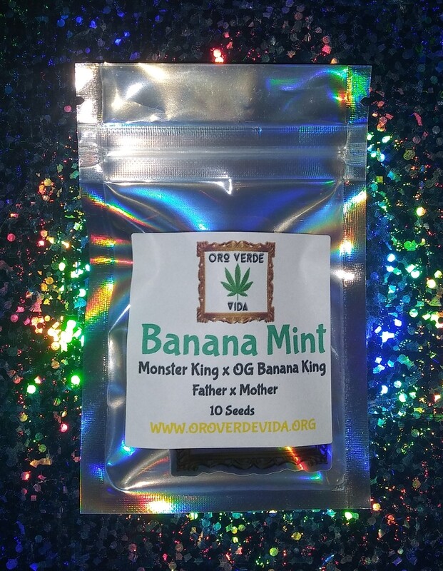 Banana Mint - (Monster King x OG Banana King)