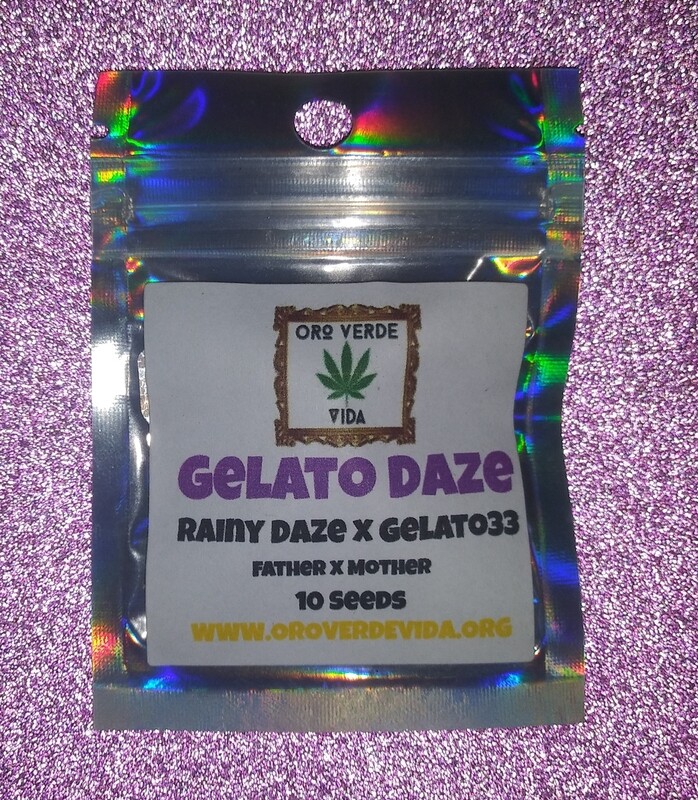 Gelato Daze - (Rainy Daze x Gelato 33)
