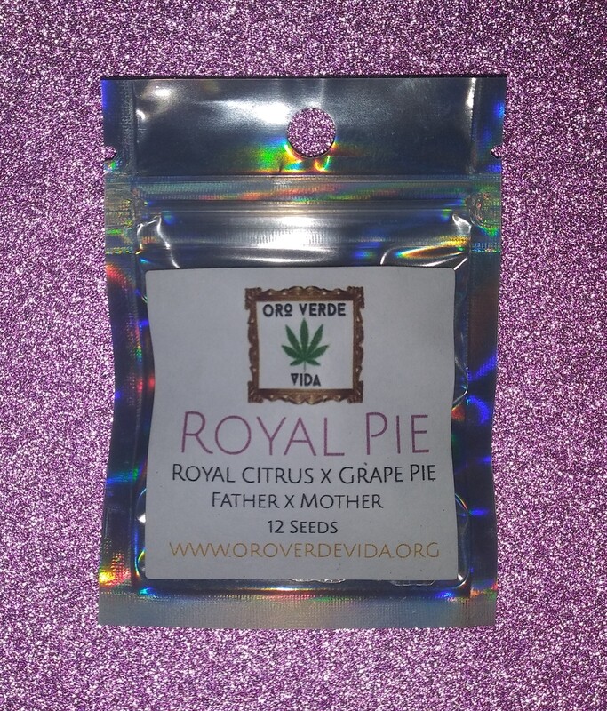 Royal Pie - (Royal Citrus x Grape Pie)