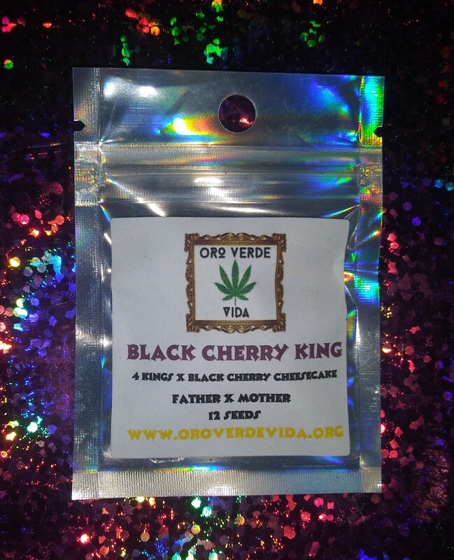 ​Black Cherry King (4 Kings x Black Cherry Cheescake)