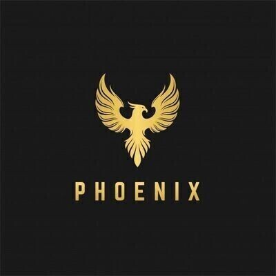 PhoenixLOL ( 3 MONTH )