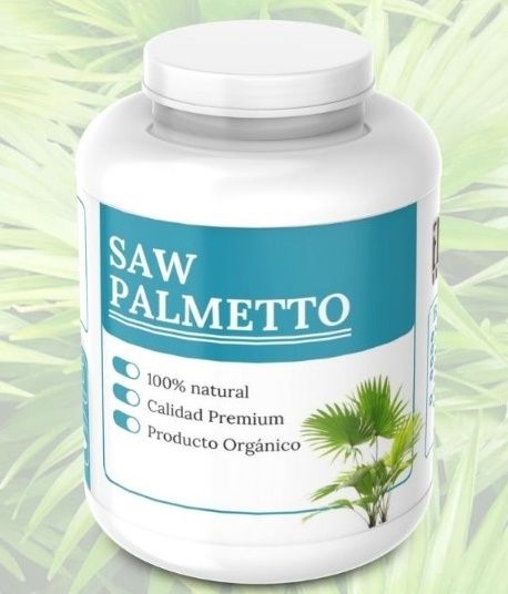 Saw Palmetto