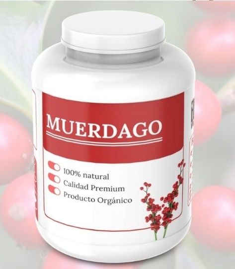 Muérdago