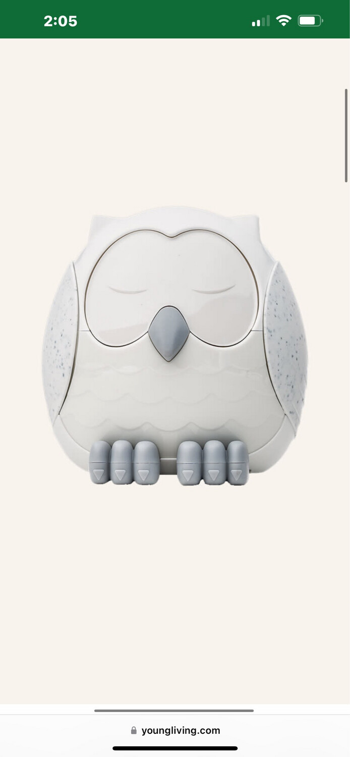 Snowy the Owl Diffuser