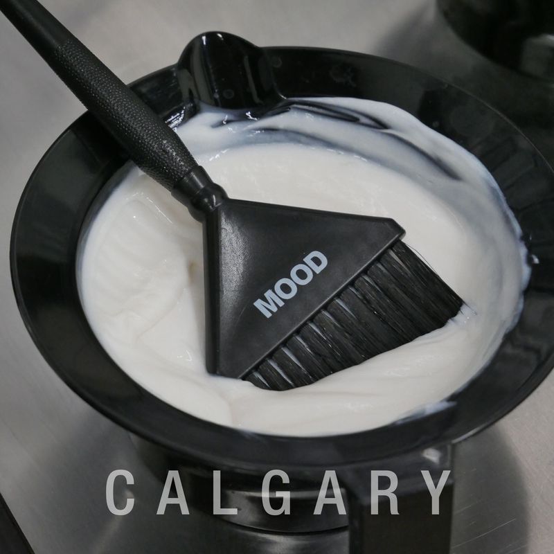 Meet MOOD Color: Monday, Feb. 23,  10am - 4pm, IN PERSON OPEN GROUP