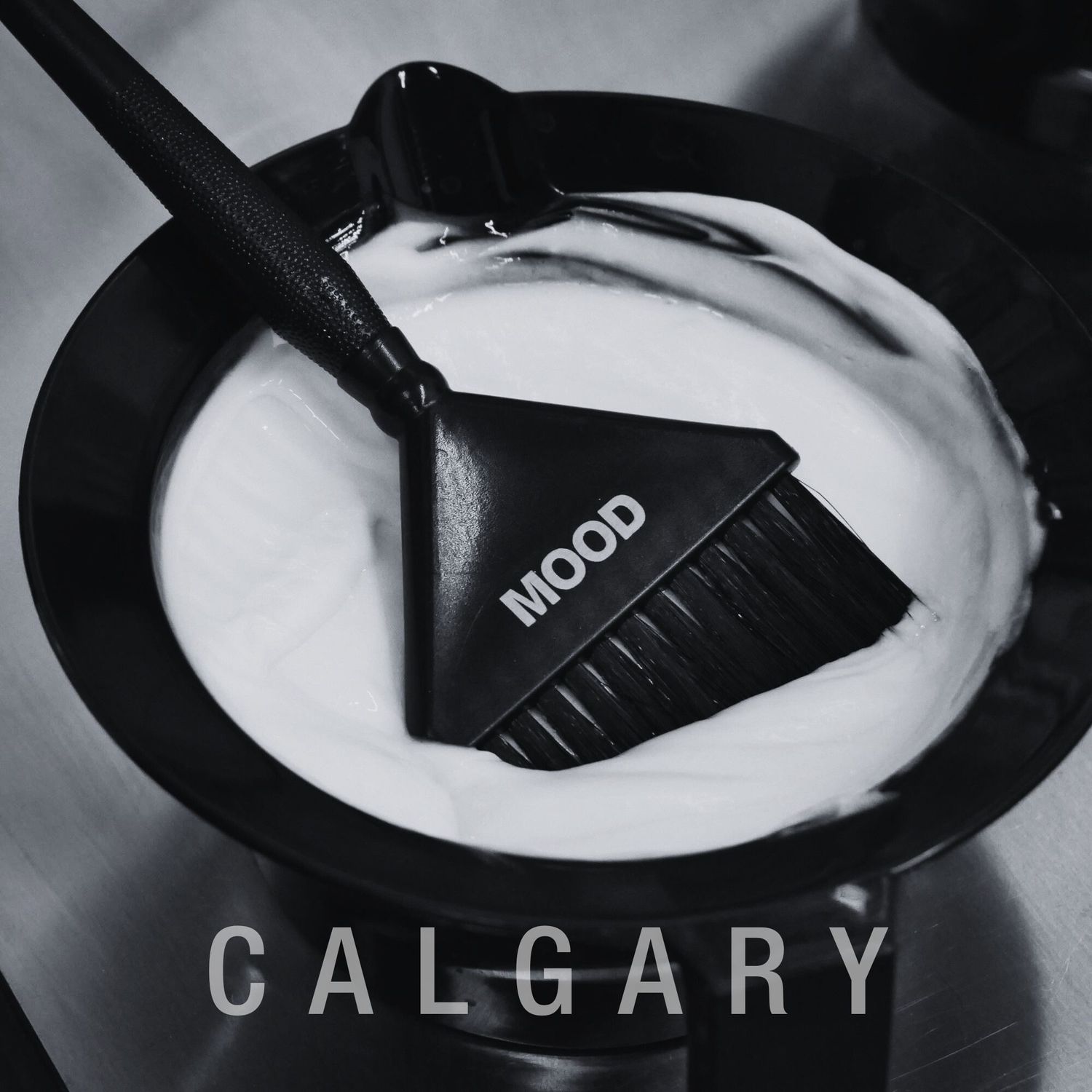 CANCELLATION REQUEST: MEET MOOD COLOR - Feb. 23, 2026, CALGARY