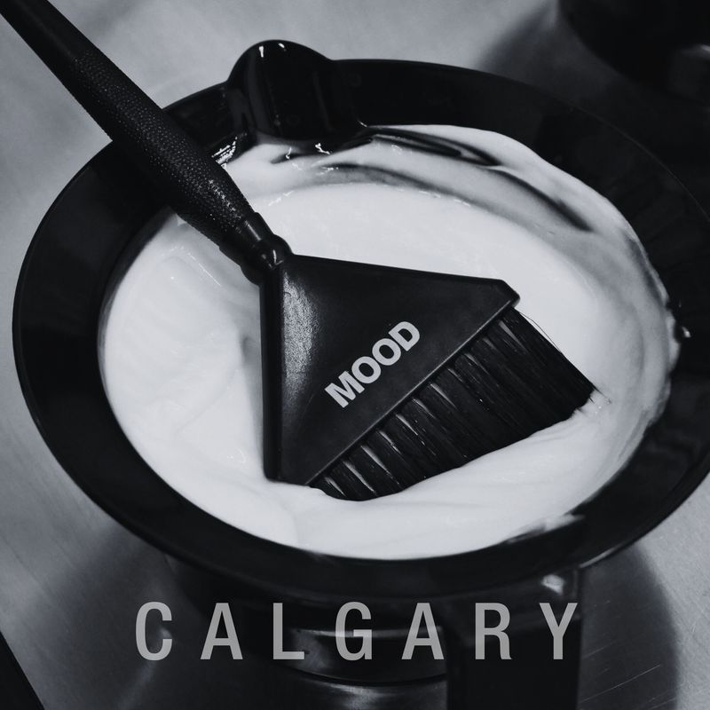 CANCELLATION REQUEST: MEET MOOD COLOR - Feb. 23, 2026, CALGARY