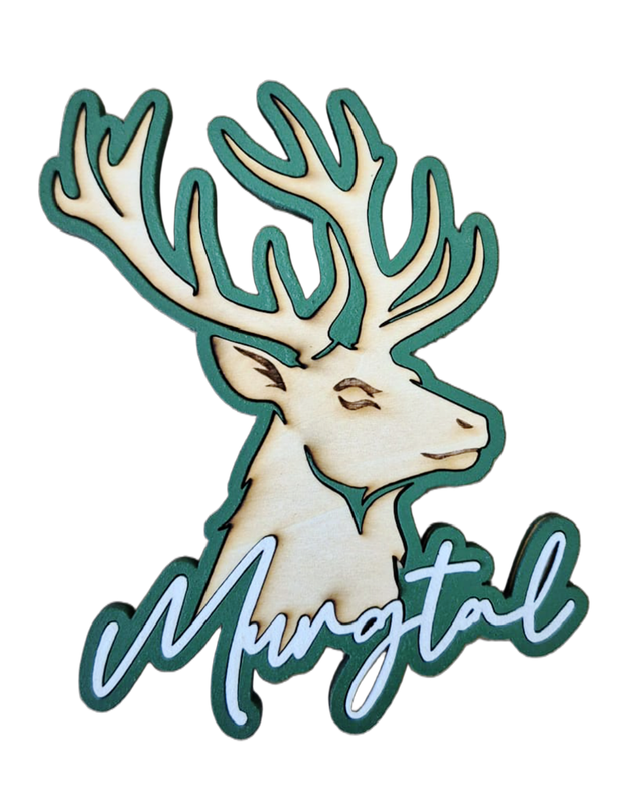 Magnet Murgtal
