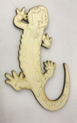 Salamander zum Anmalen