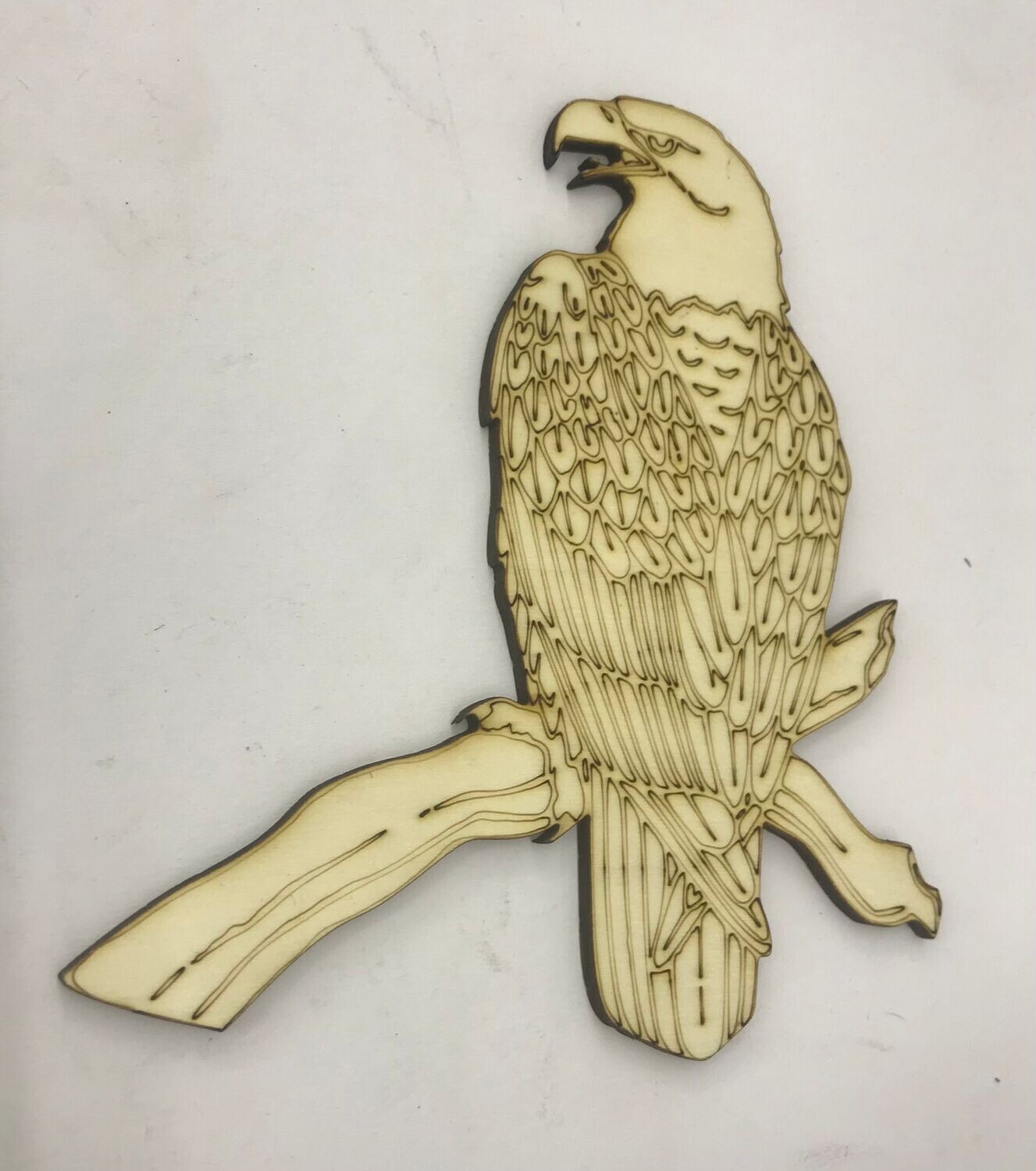 Adler zum Anmalen