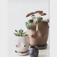 Boobie Planter with drainage dish