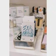 Stay Wild Outdoors Can Cooler