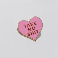 Take no Shit Pin