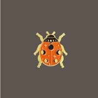 Moon Phase Lady Bug