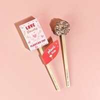 Love Flowers Garden Gift Seed Planting Pop