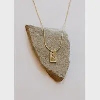 Snake Dog Tag