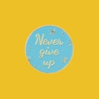 Never Give Up Pin