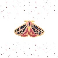 Black and Pink Moth