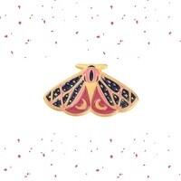 Black and Pink Moth