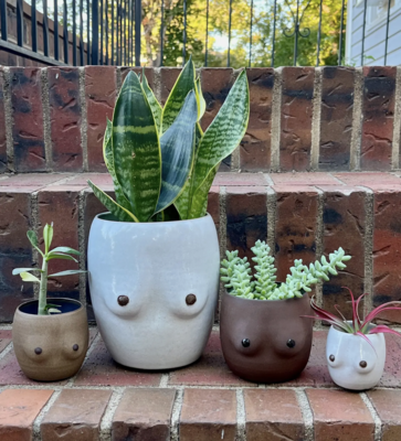 Plants + Pots + Vases