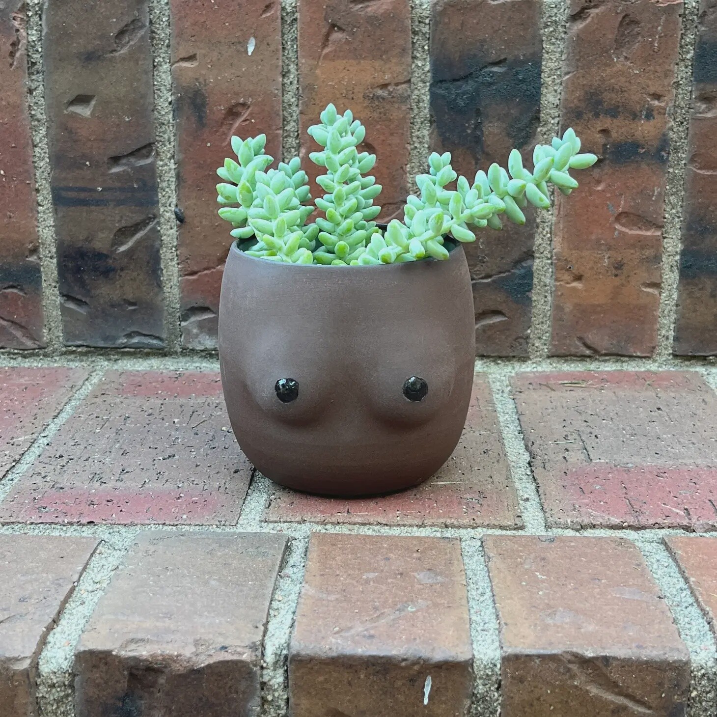 Stoneware Boobie Cup/ Chocolate Brown D