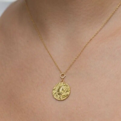 Tiger Coin Necklace in 14k Gold