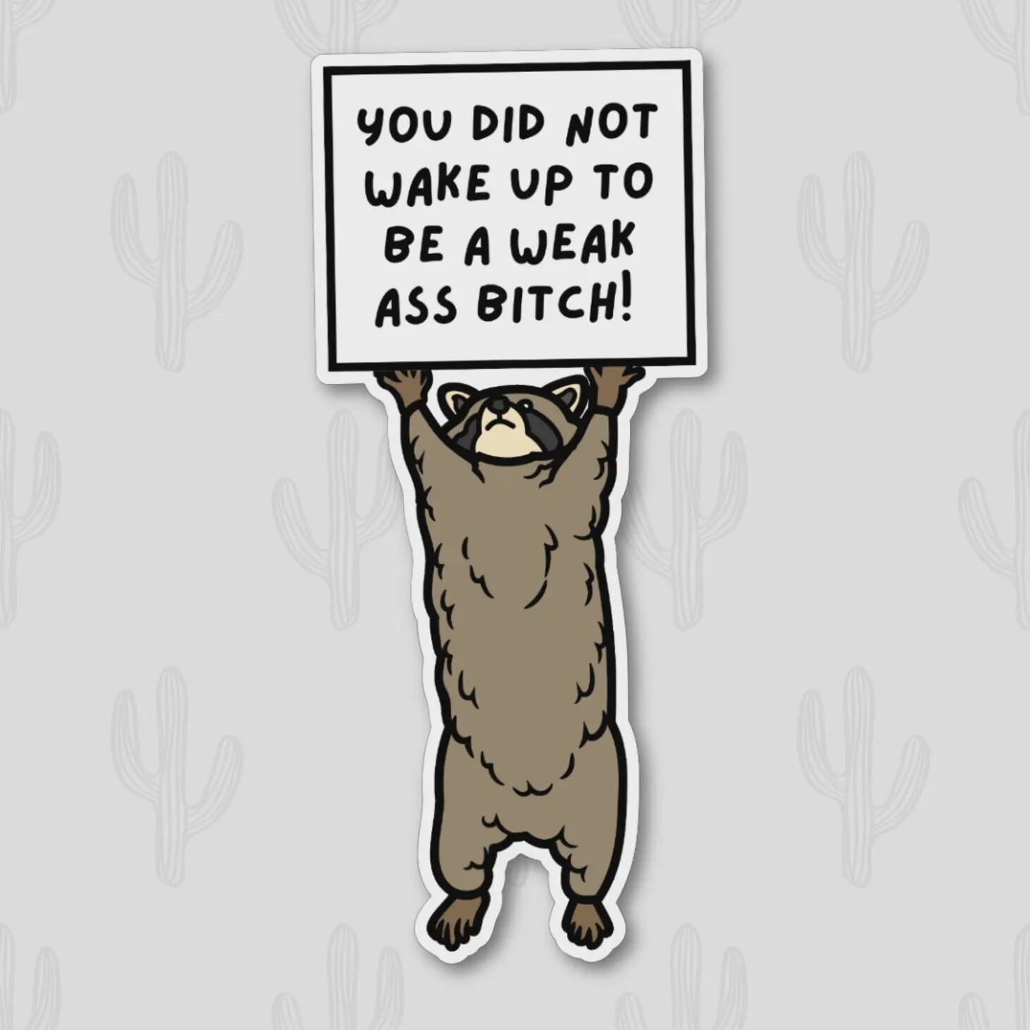 Funny Racoon Sticker