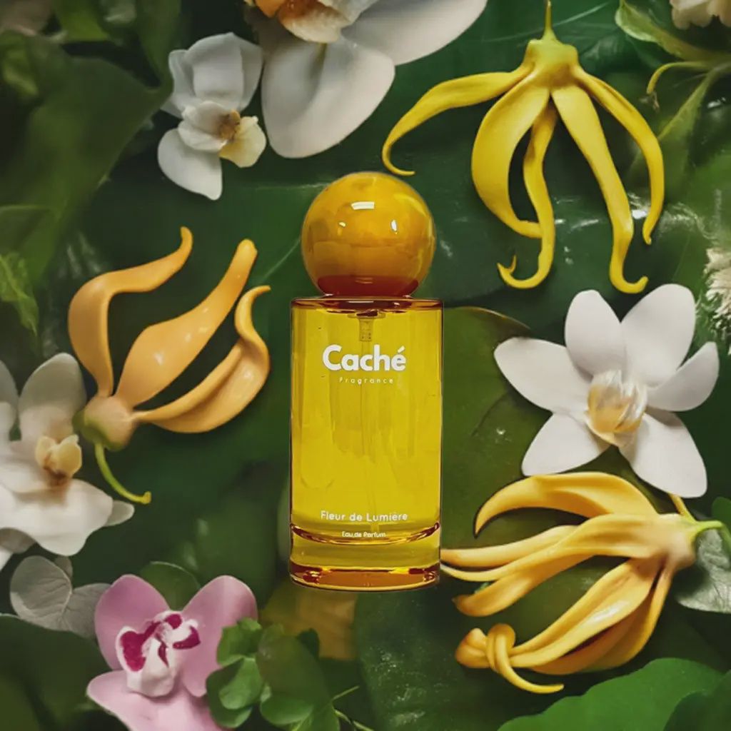 Fleur De Lumière By Caché