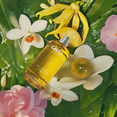 Fleur De Lumière By Caché