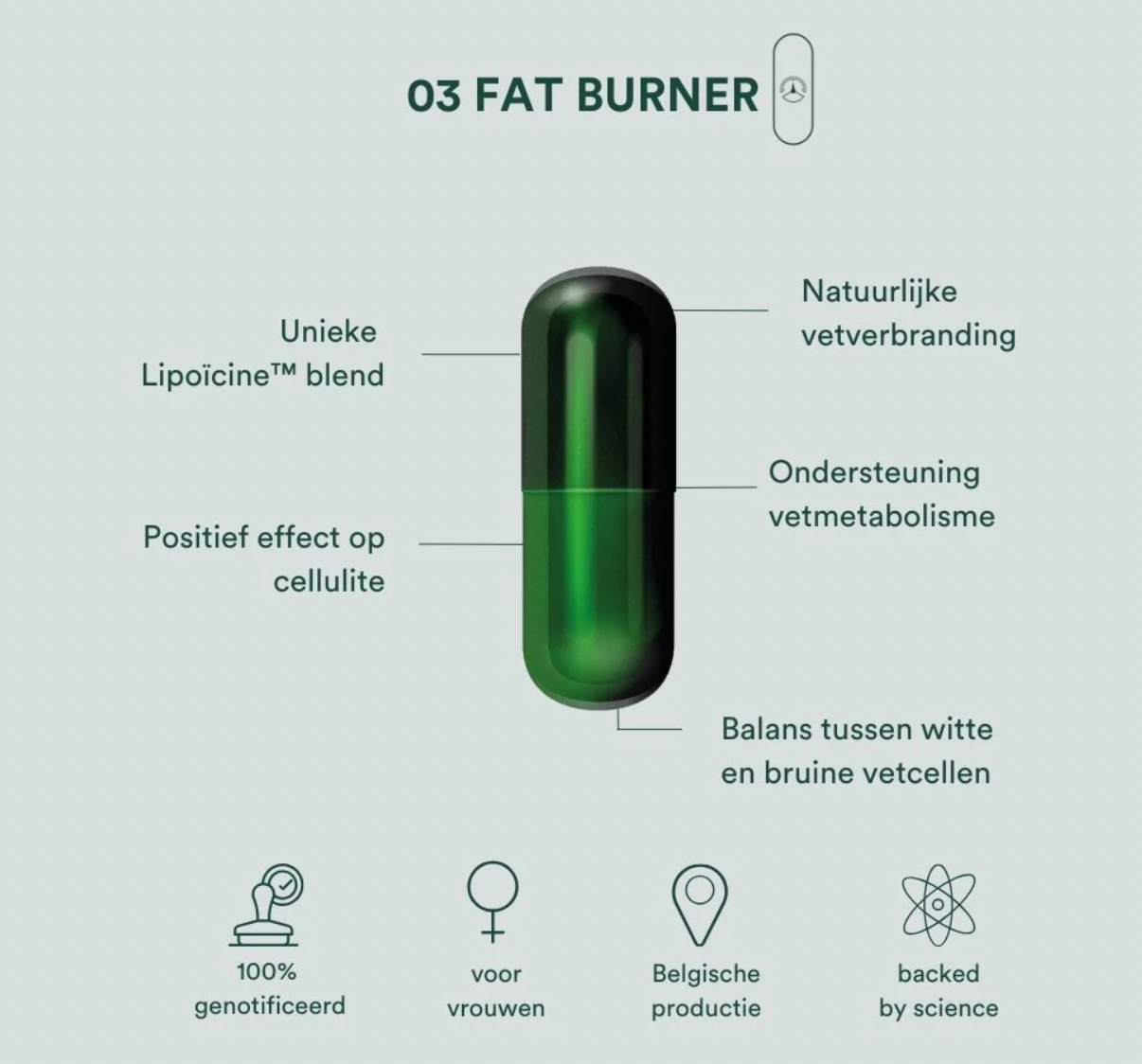 Insentials Fat Burner