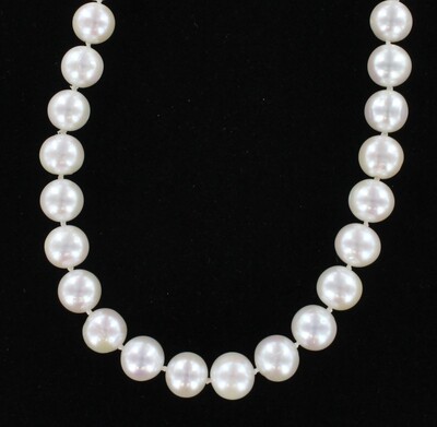 14KTY CLASP ON 10.0-10.5 MM PEARL NECKLACE 14KTY CLASP ON 10.0-10.5 MM PEARL NECKLACE