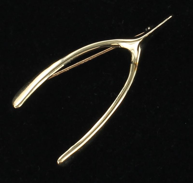 14KTY WISHBONE PIN