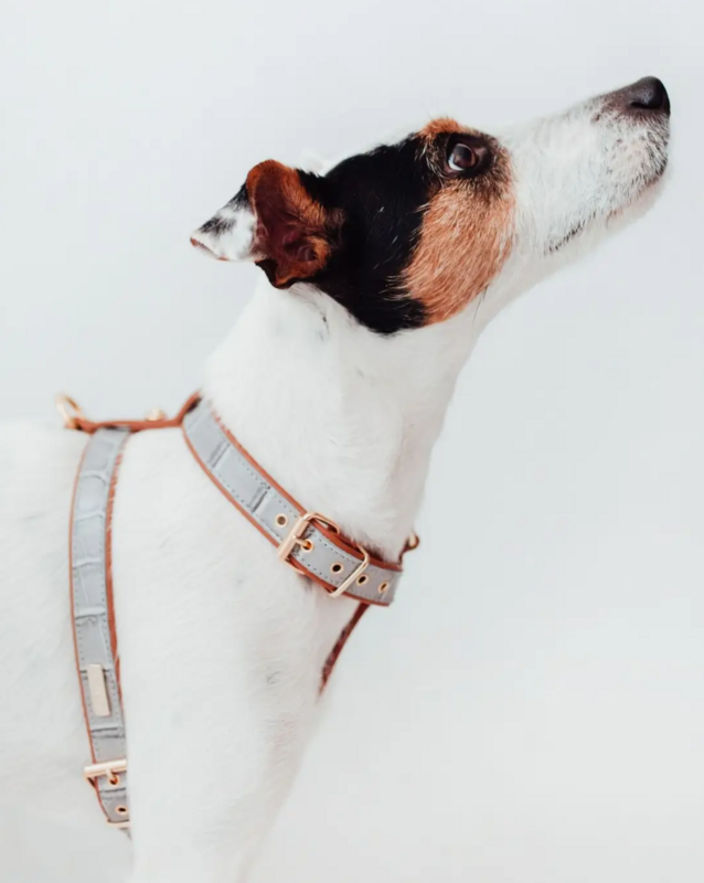 Hundegeschirr Leder grau Größe L