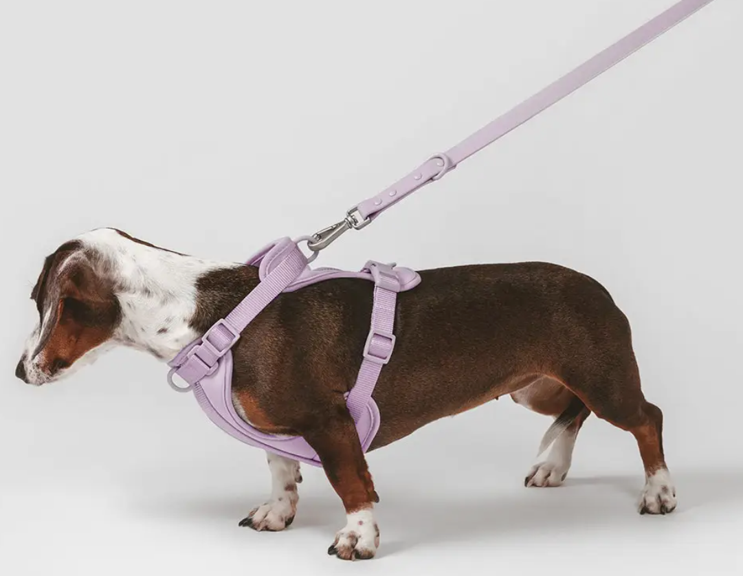 Doggles Apex Hundegeschirr In Größe S – Pink/Camo, Robust & Reflektierend Für Aktive Hunde