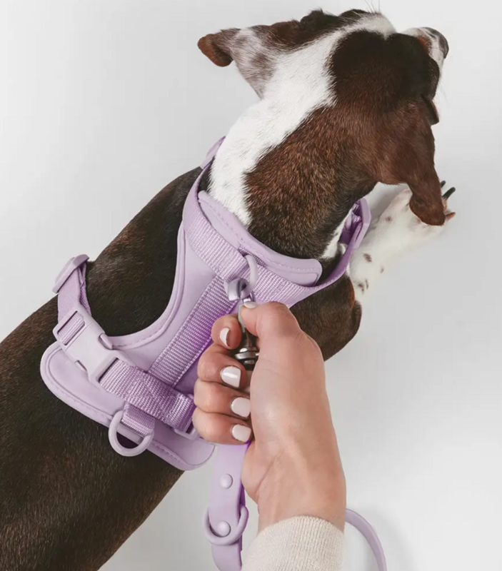 Hundegeschirr Pink Größe S