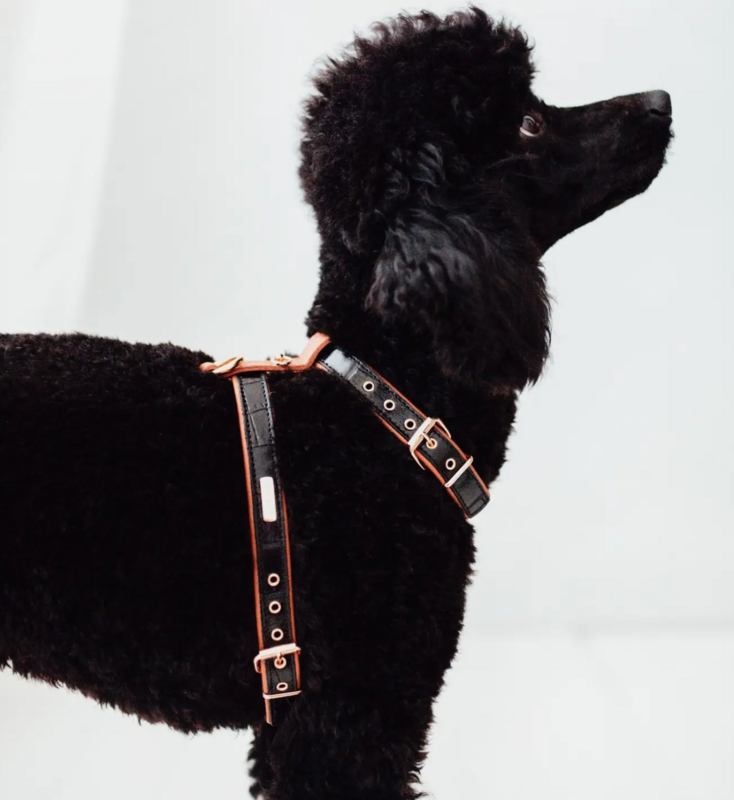 Hundegeschirr Leder schwarz Größe M